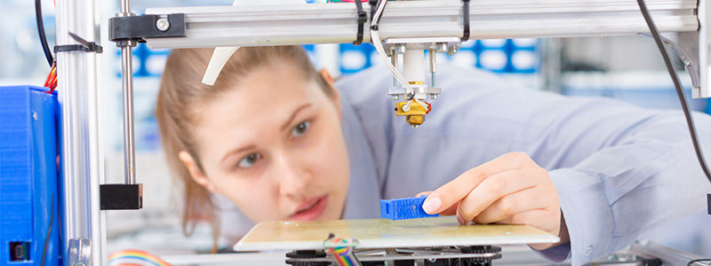 Honor Roll WISE Banner