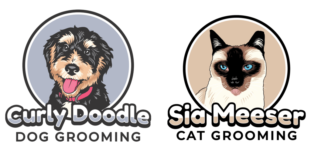 Untitled-design-52-2-1024x508