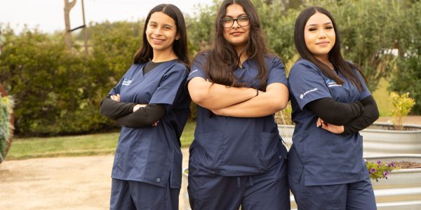 nursing internship
