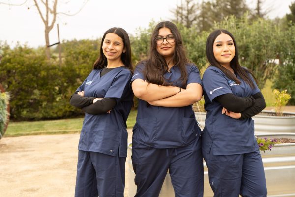 nursing internship